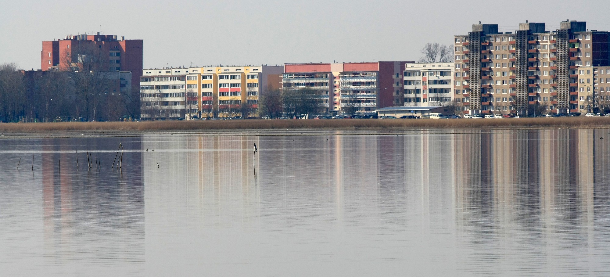 Ģimenes meklē mājokļus centrā