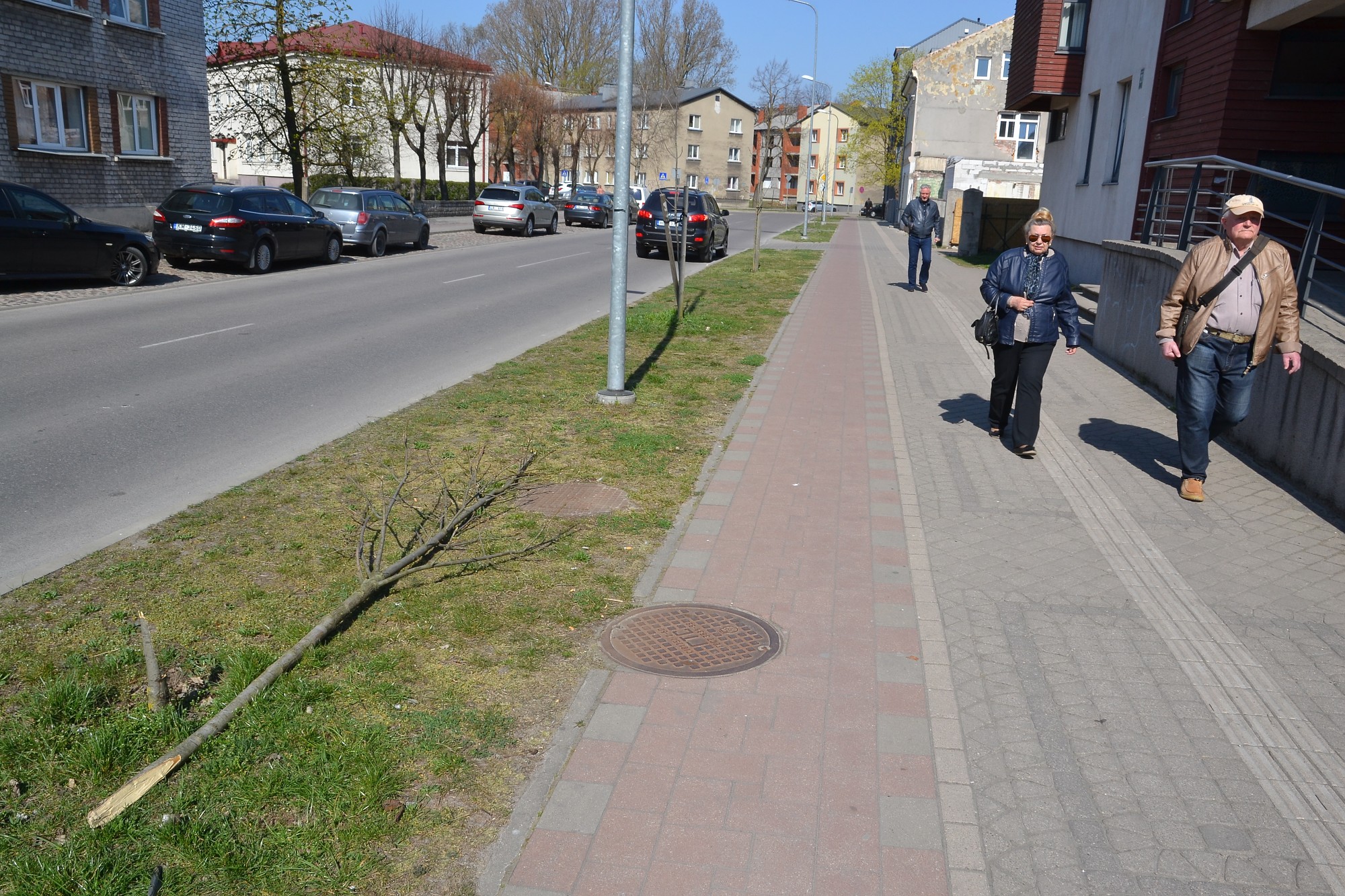 Iedzīvotāji: ošu lauzēji jāmeklē!