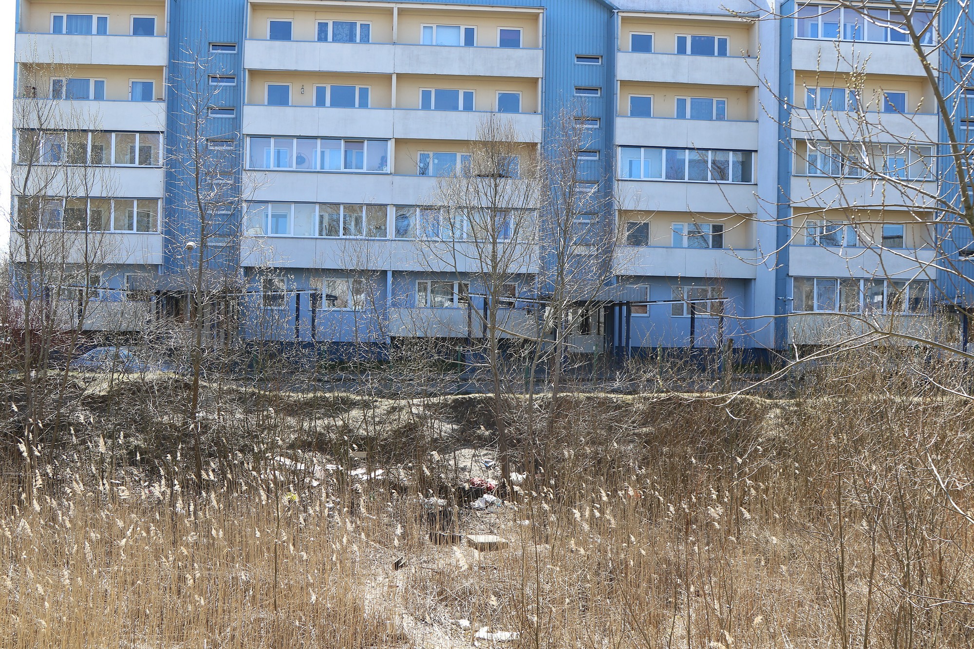 Čūsku un klaidoņu midzeni Rojas ielā sola sakopt
