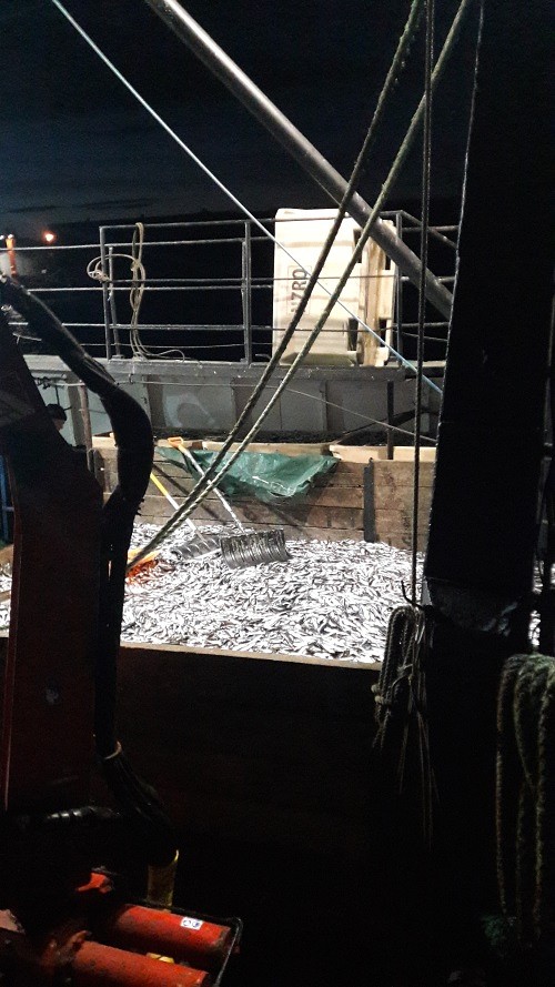 Uz zvejas kuģa atrod  19 tonnas nereģistrētu zivju