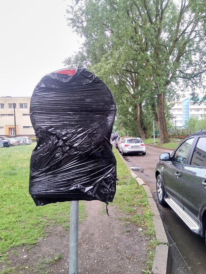 Kamēr ligzdo putni, kokus necirtīs