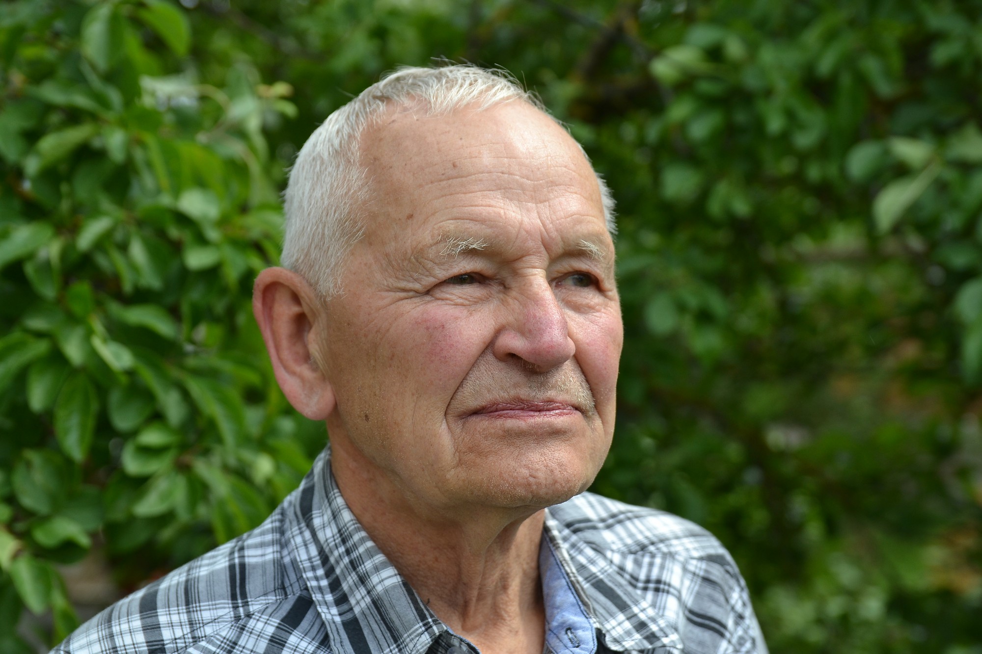 Stiprie Vidiņi