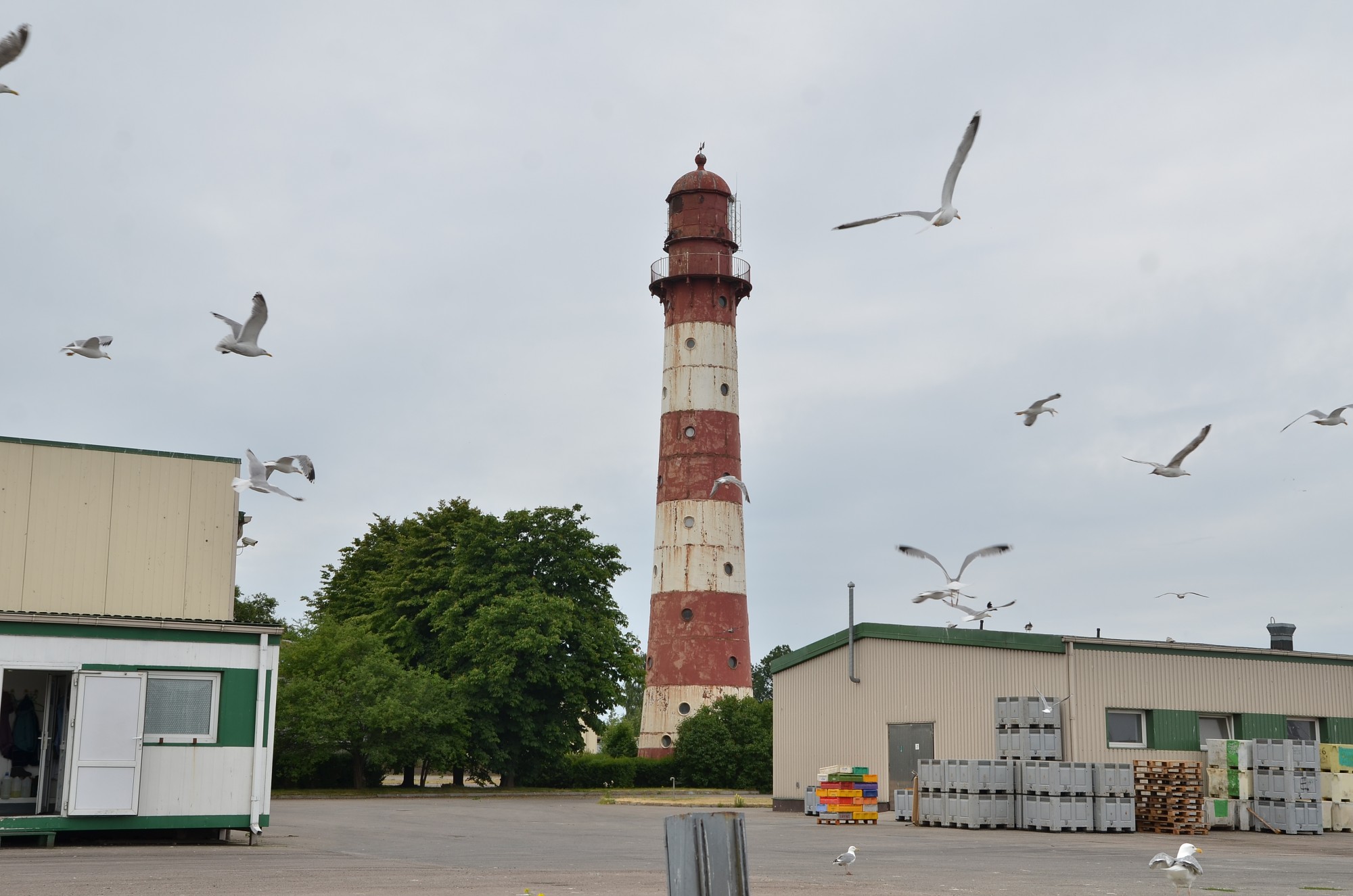 Bākas atjaunotāju meklē atkārtoti