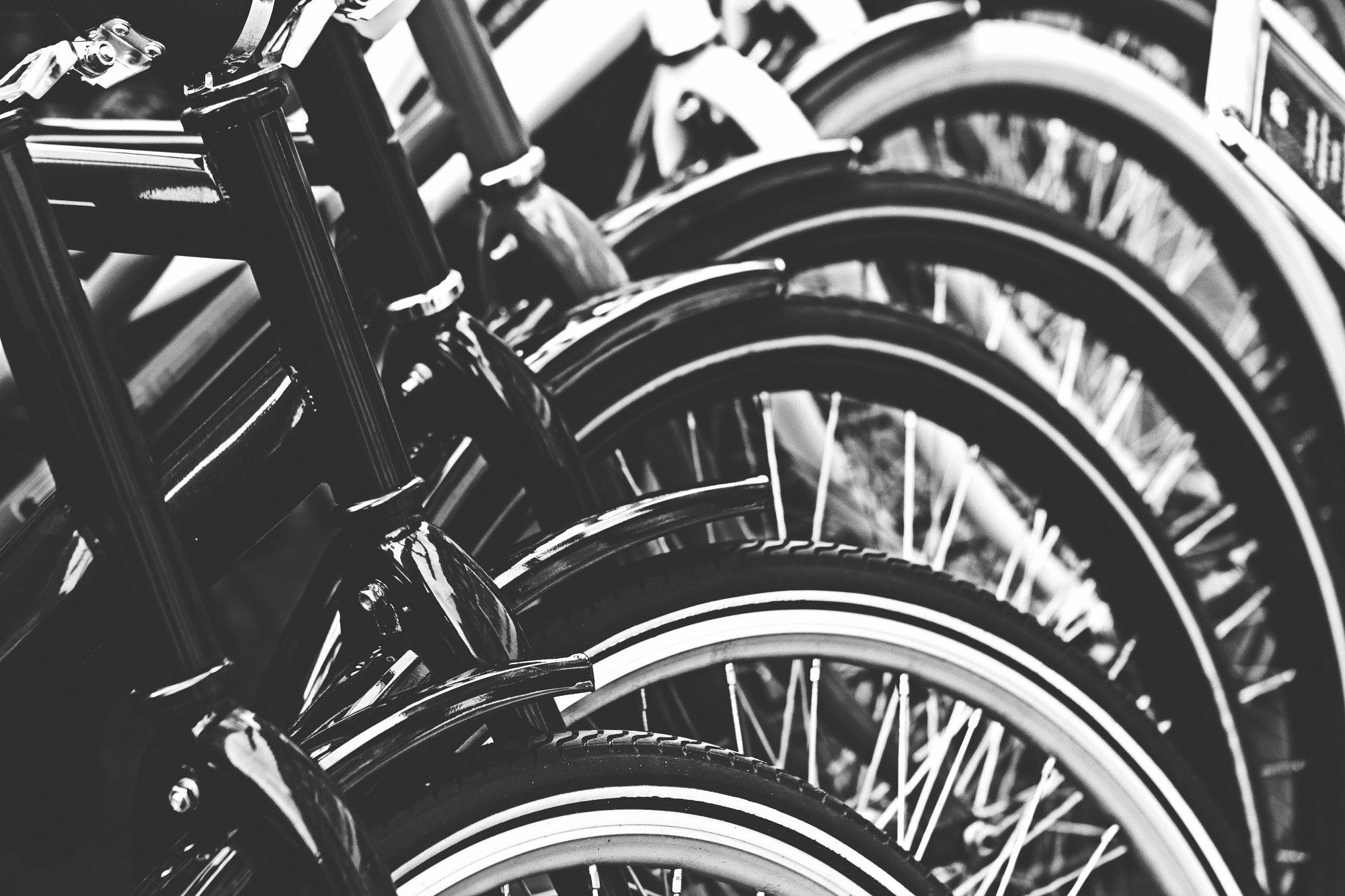 Notver velosipēda zagļus