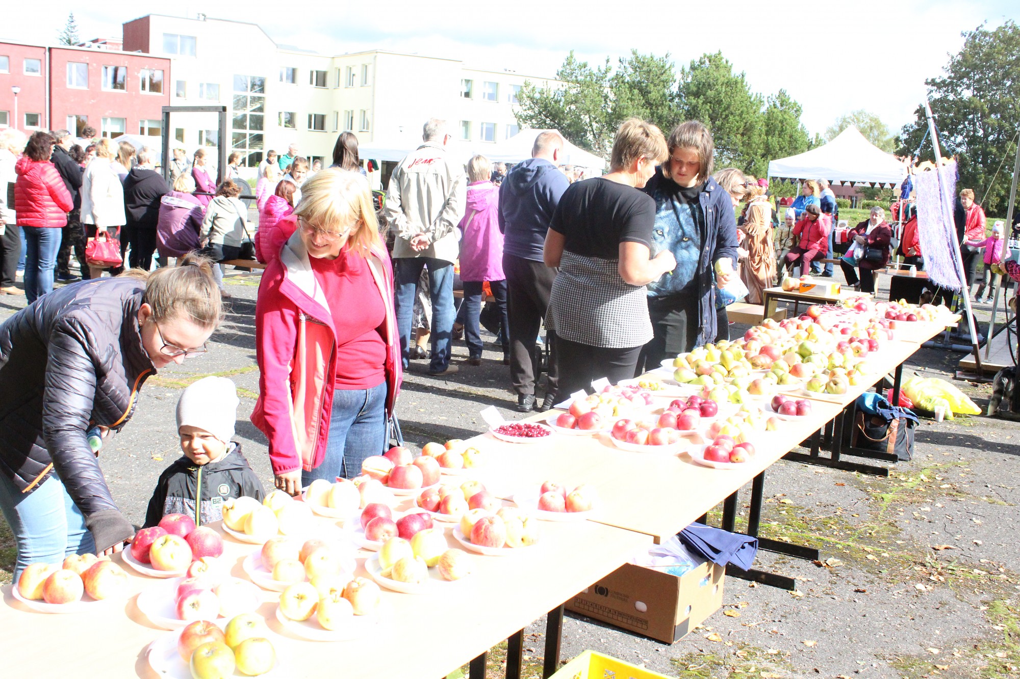 Spītējot sausumam, Durbē svin āboldienas septiņgadi