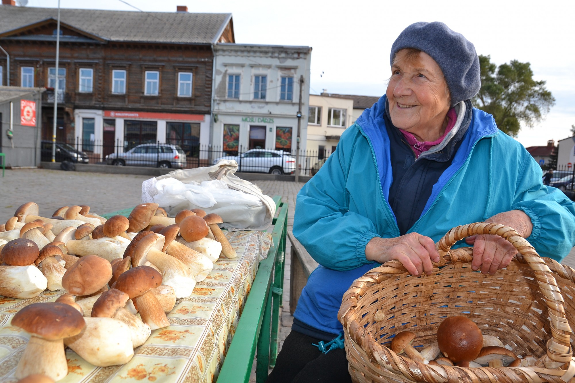 Sēņu sprādziens piepilda grozus