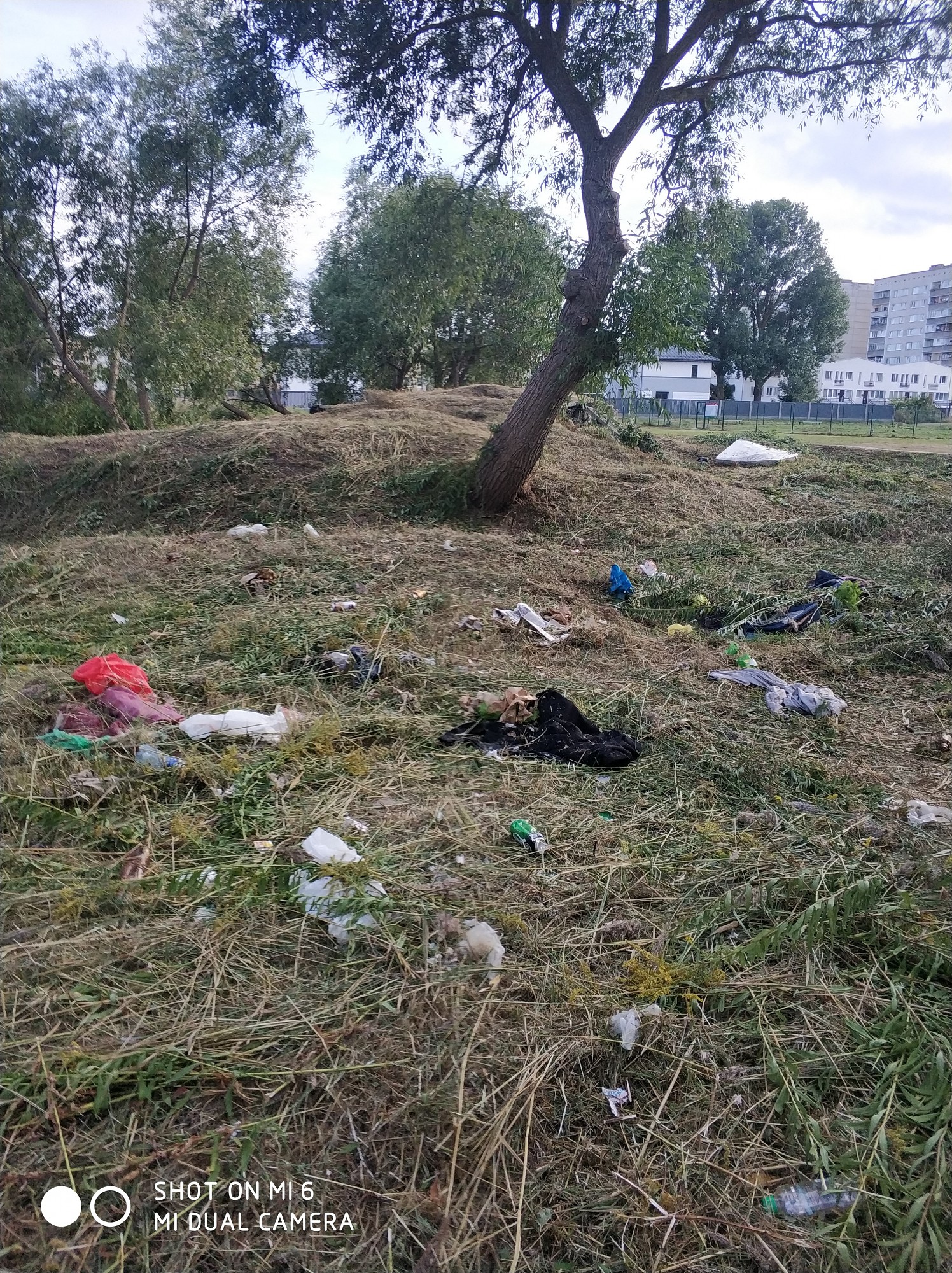 Katru gadu starp Vaiņodes un Airītes ielu skatam paveras atkritumu kaudzes
