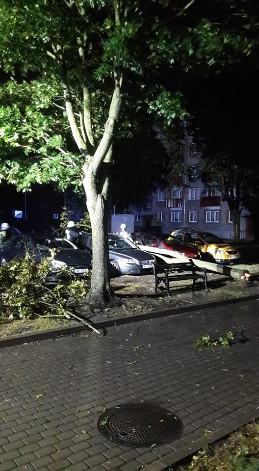 Naktī Liepājas ostā reģistrētas vēja brāzmas līdz 24 metriem sekundē; koks sabojā divus auto
