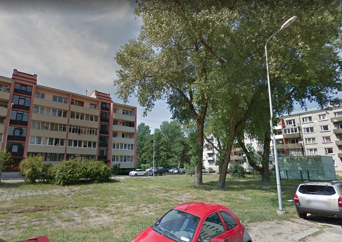 Aicina piedalīties apspriešanā par papeļu nociršanu Klaipēdas ielā
