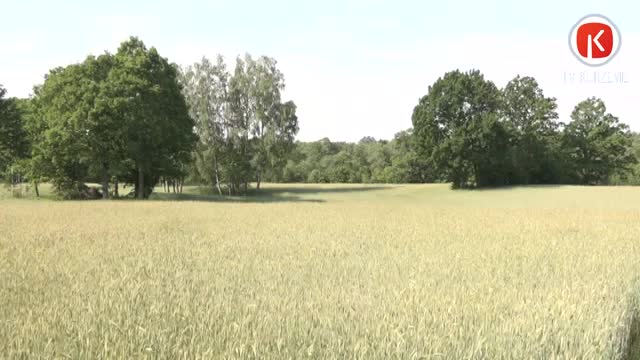 Piedāvā atbalstu uzņēmējdarbībai laukos