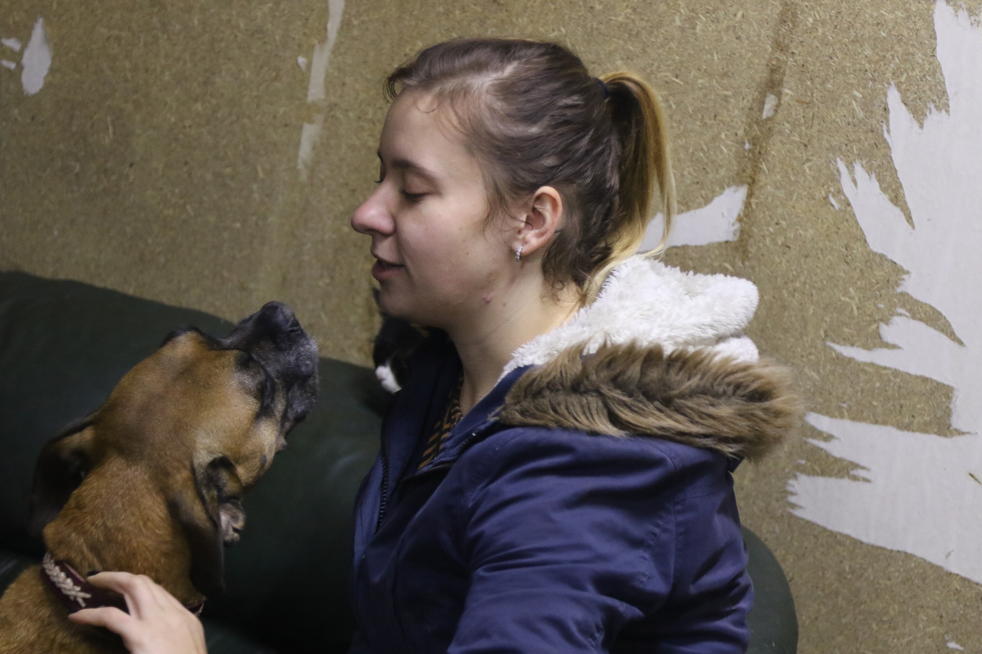 “Libertā” nonākušie suņi un kaķi gaida savu cilvēku un mājas