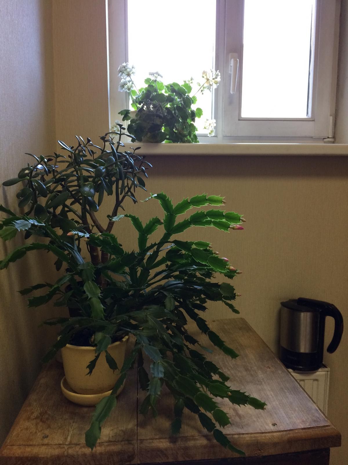 Ieteikumi novembrim