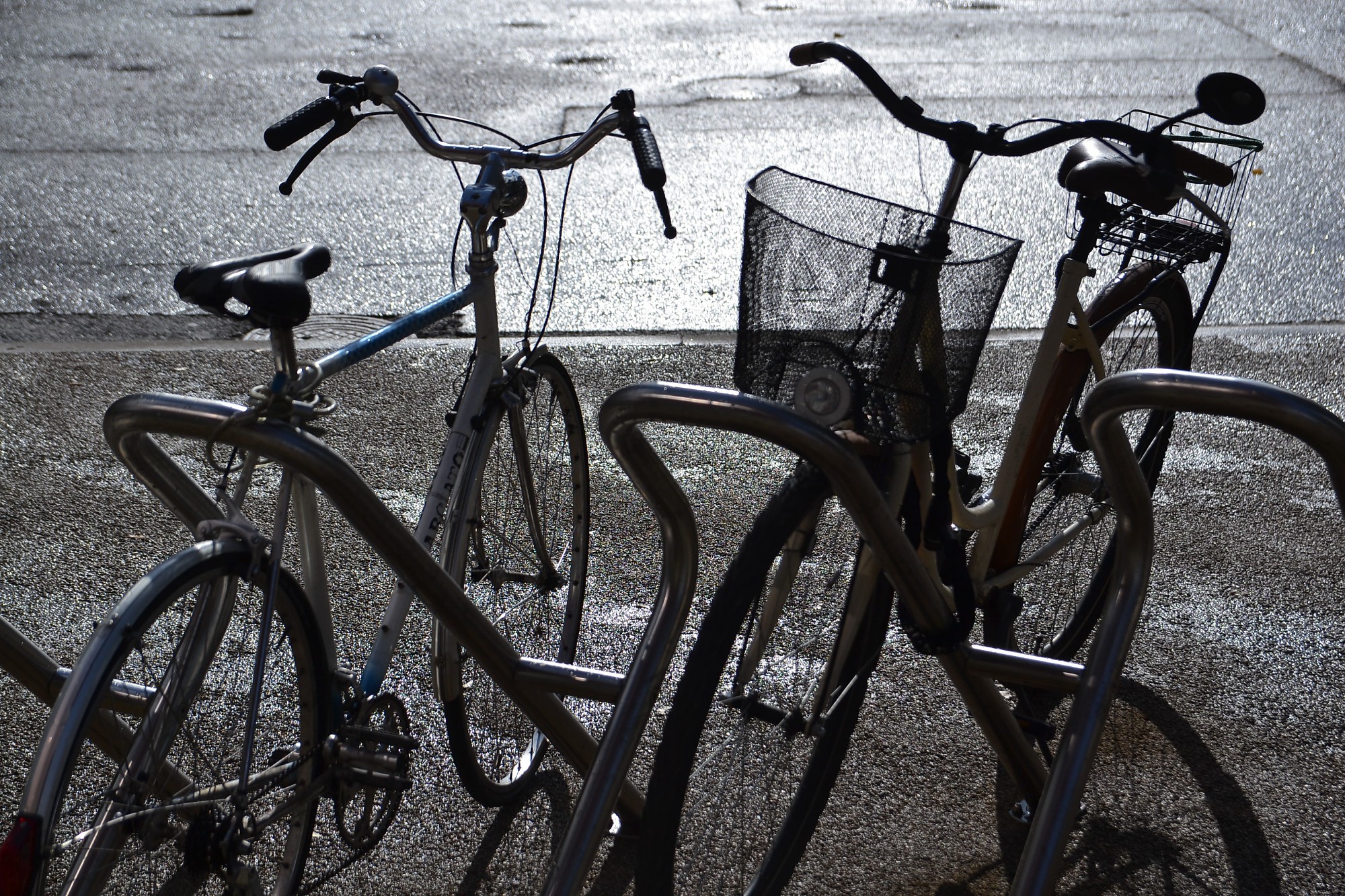 Divriteni ziemas “guļā” neliek. Sācies izaicinājums riteņbraucējiem “Liepājas velo ziema 2020”