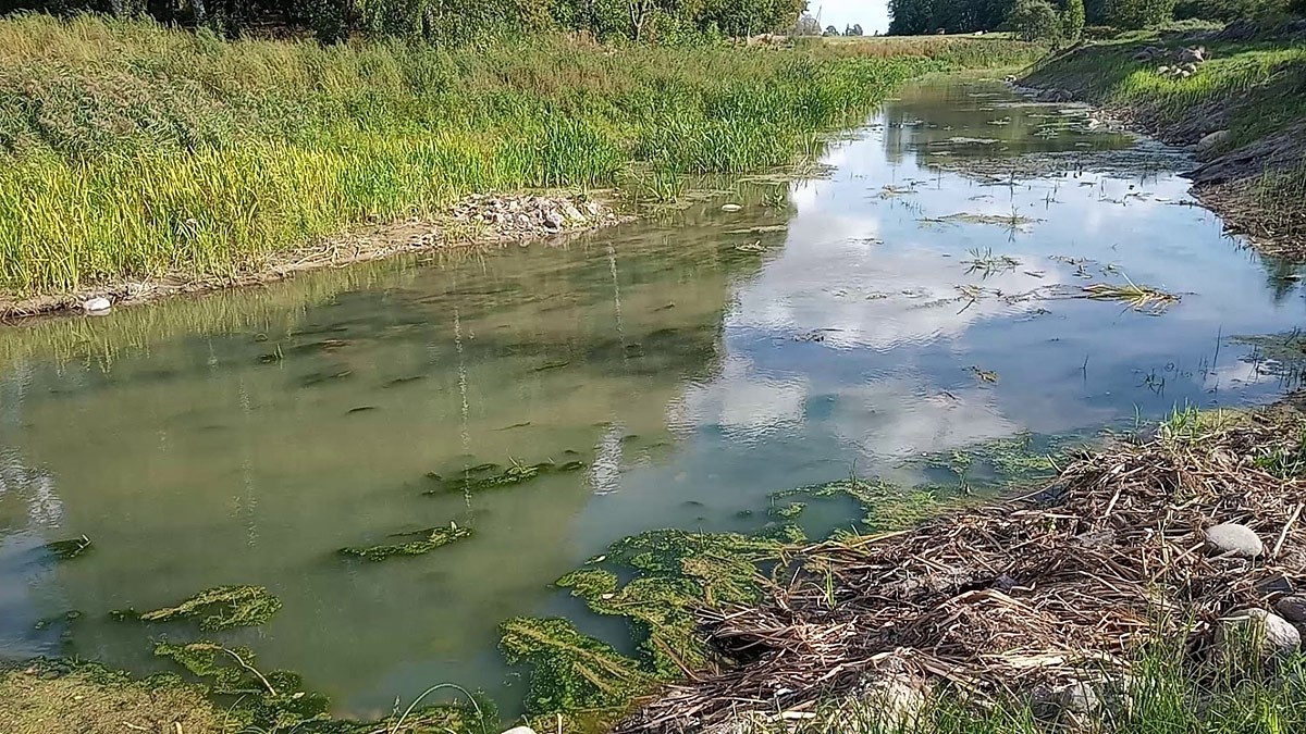 Iedzīvotājus uztrauc Durbes upes atjaunošanas rezultāts
