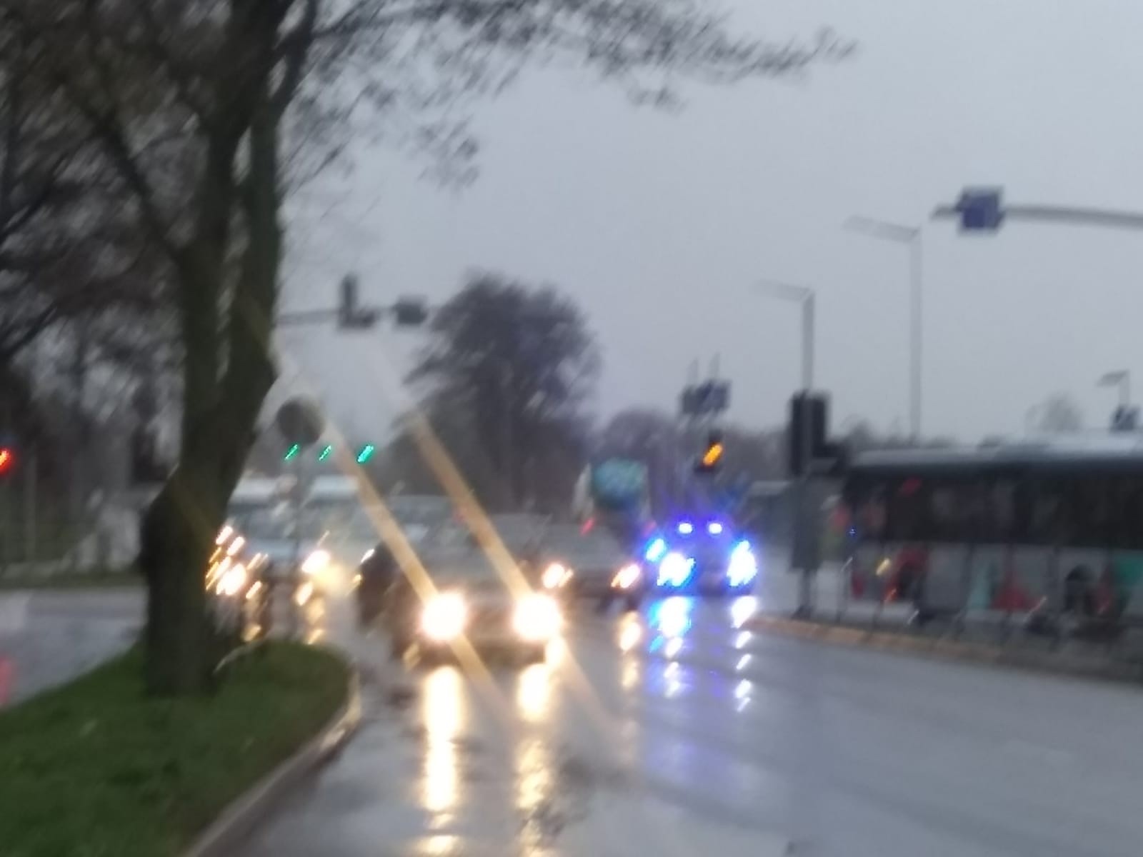 “Vilcieniņš” Brīvības un Cukura ielas krustojumā