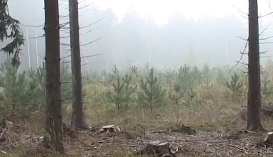 Sākusies akcija “Dāvini dabai”