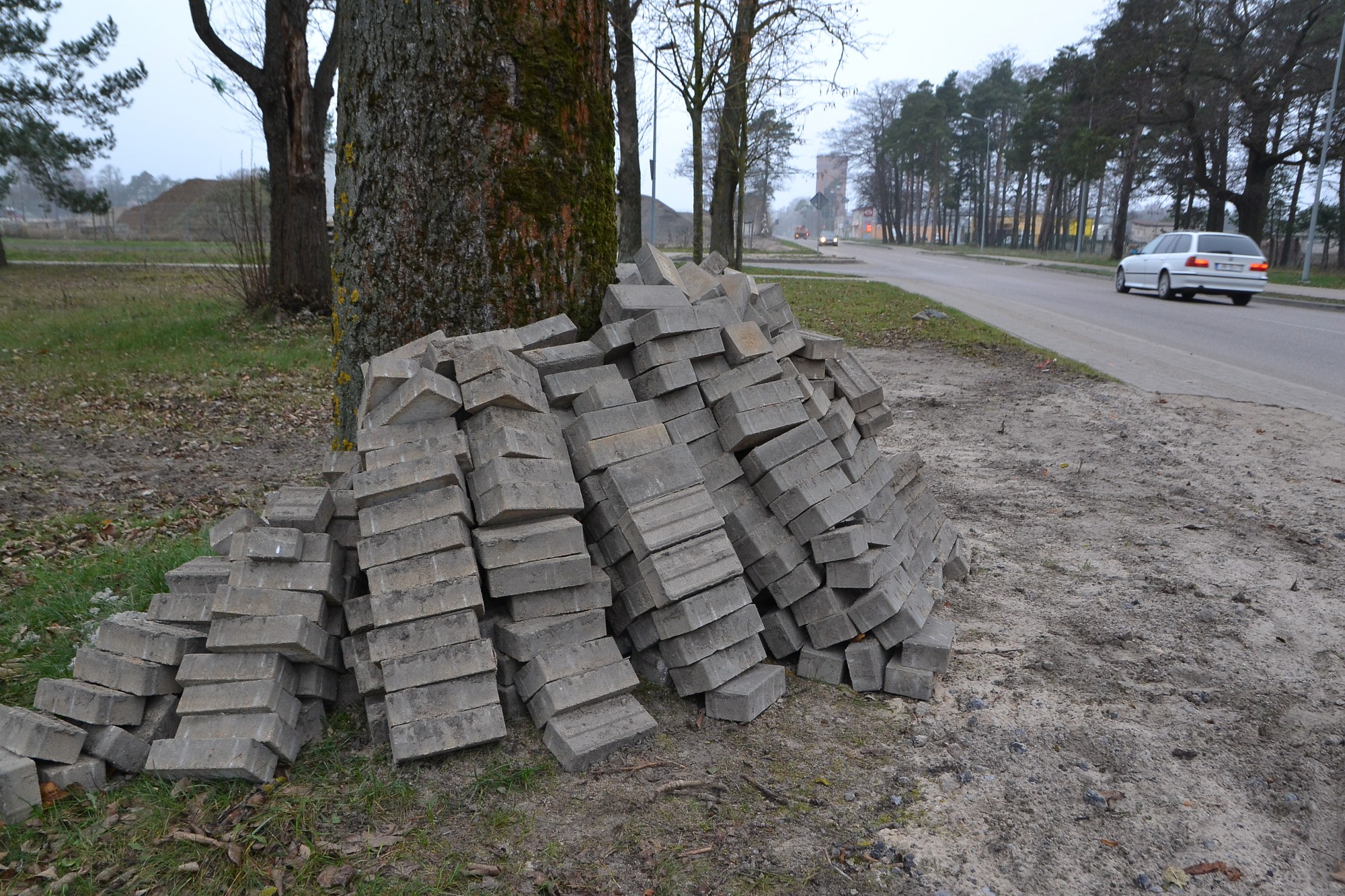 Kokus apkrauj ar ķieģeļiem