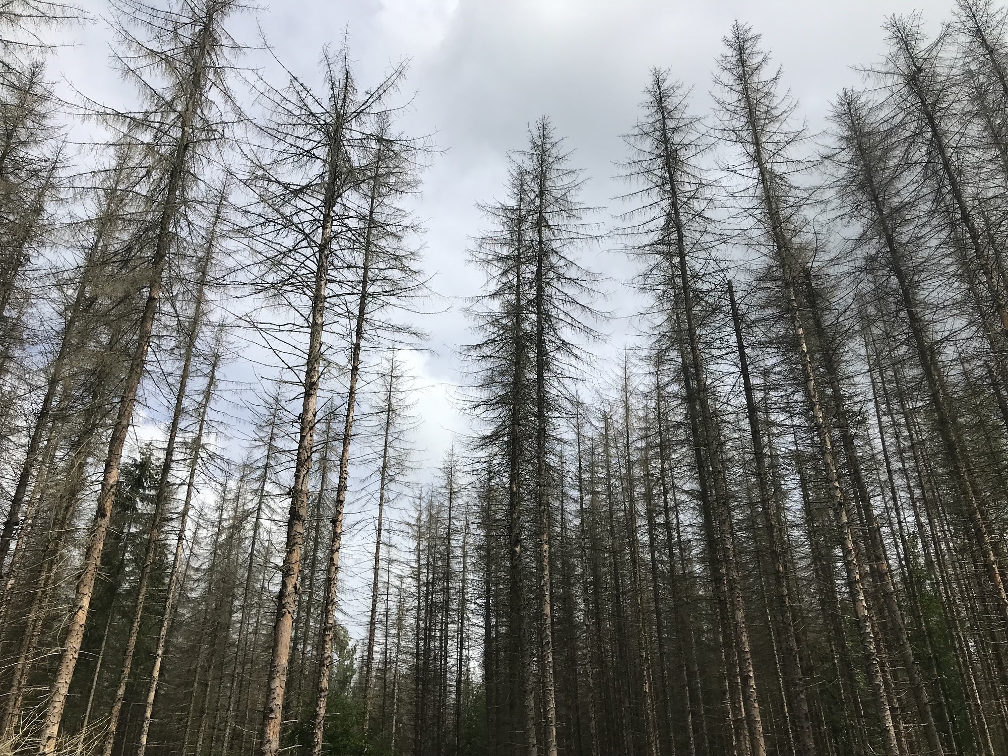 Klimata pārmaiņas skars ikvienu