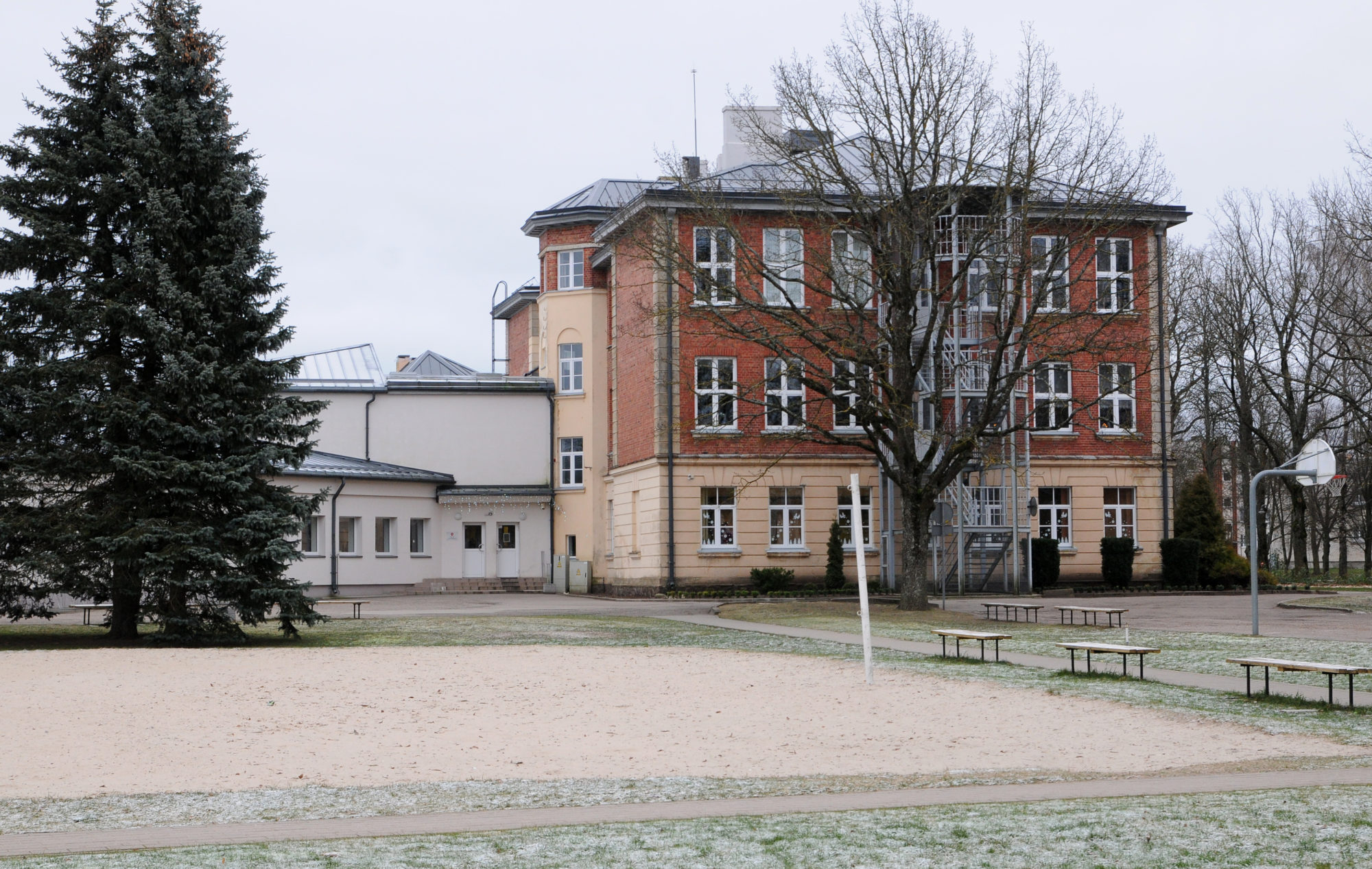 Situsi stunda eglēm pie Nīcas skolas