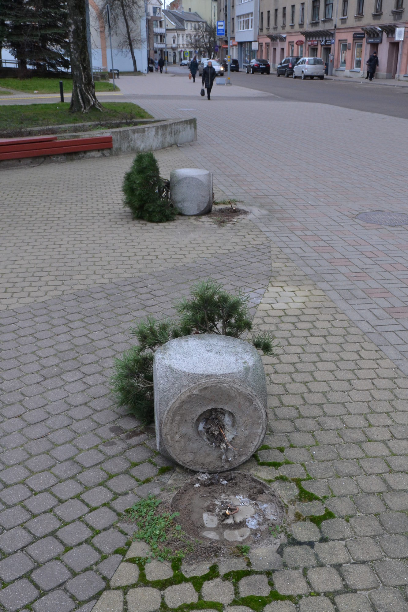 Podu Graudu ielā apgāza vandaļi, ne vētra