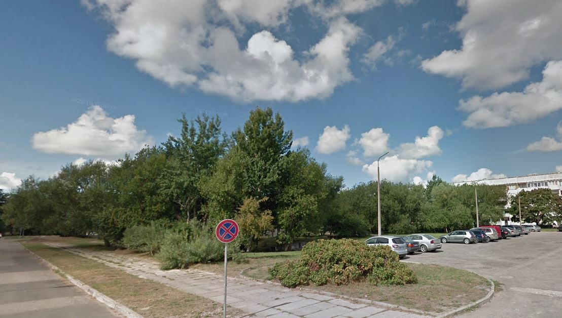 Aicina apspriest koku ciršanu Liedaga ielā 6A