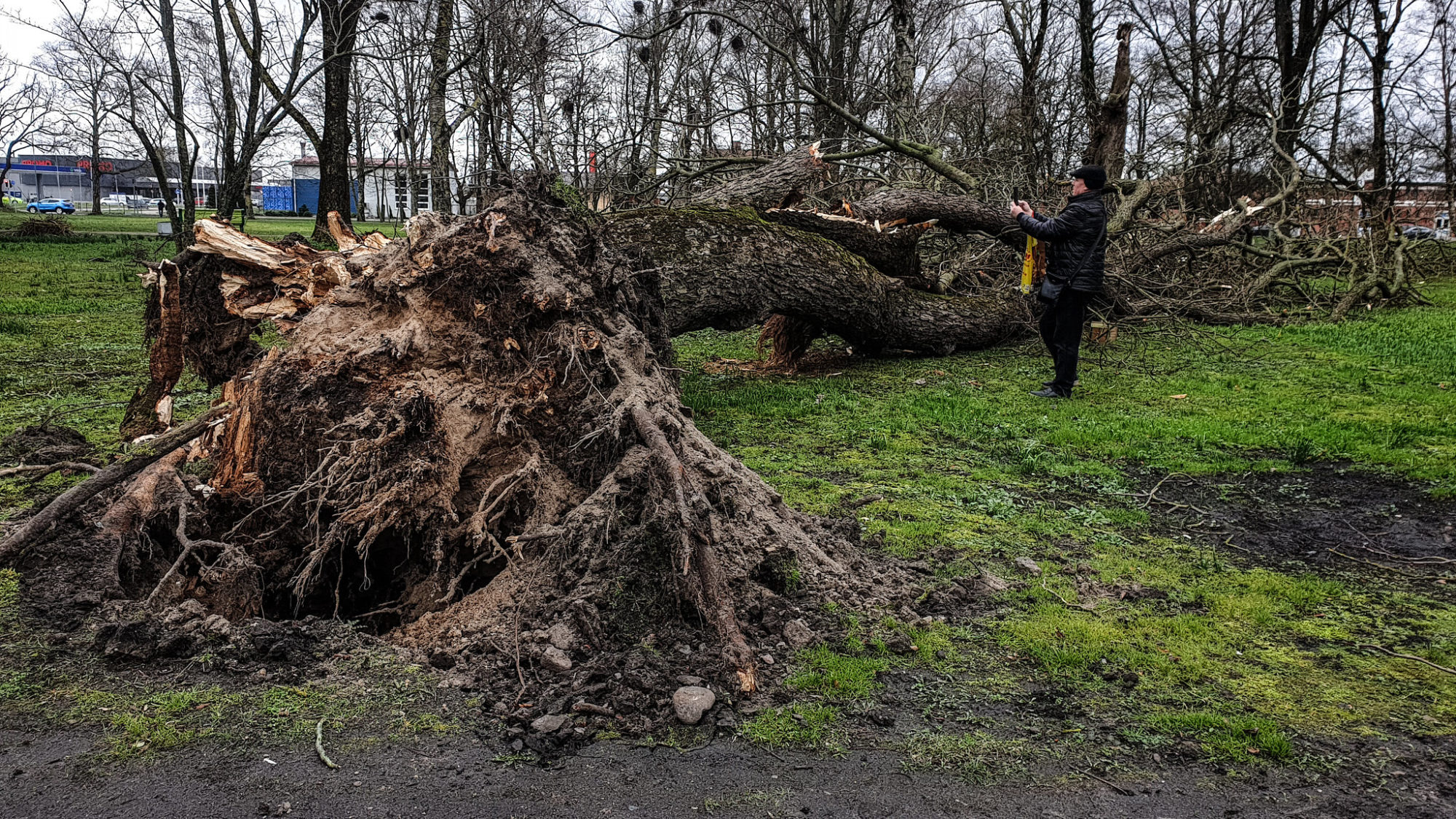Foto: Rīts pēc vētras. Glābēji saņēmuši desmitiem izsaukumu