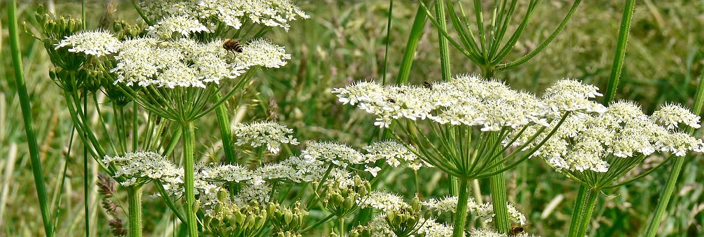 Liepājas ezera malā latvāņus apkaros piecus gadus