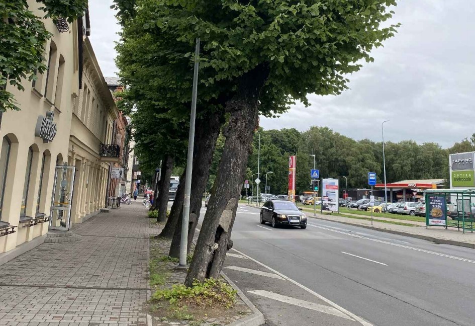 Aicinājums apspriest koku ciršanu Brīvības ielā pie īpašuma Nr. 9
