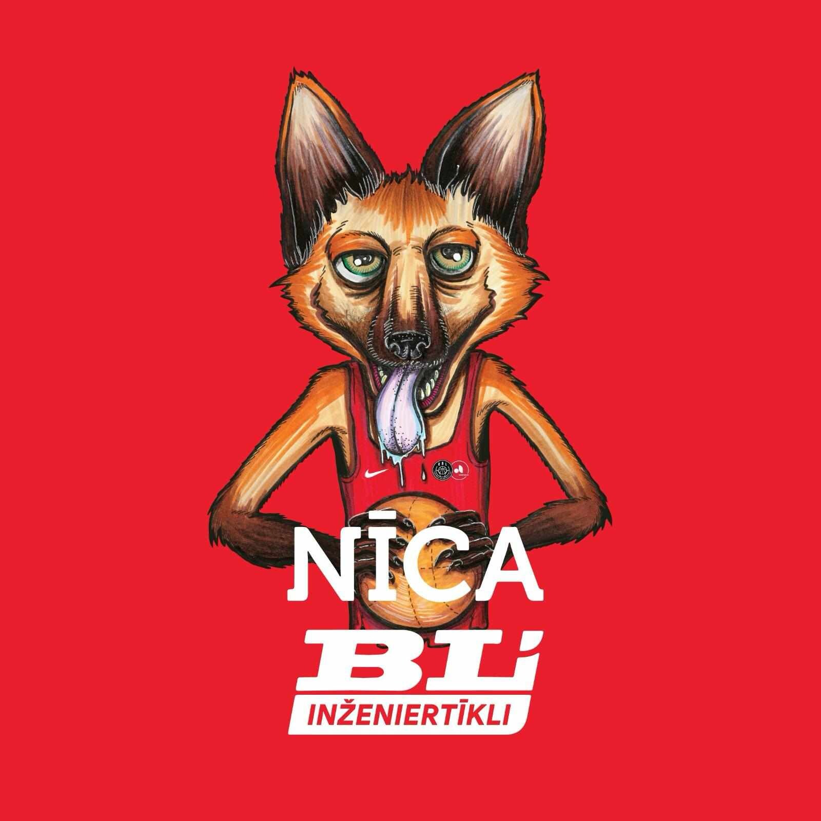 Nīca/BL inženiertīkli