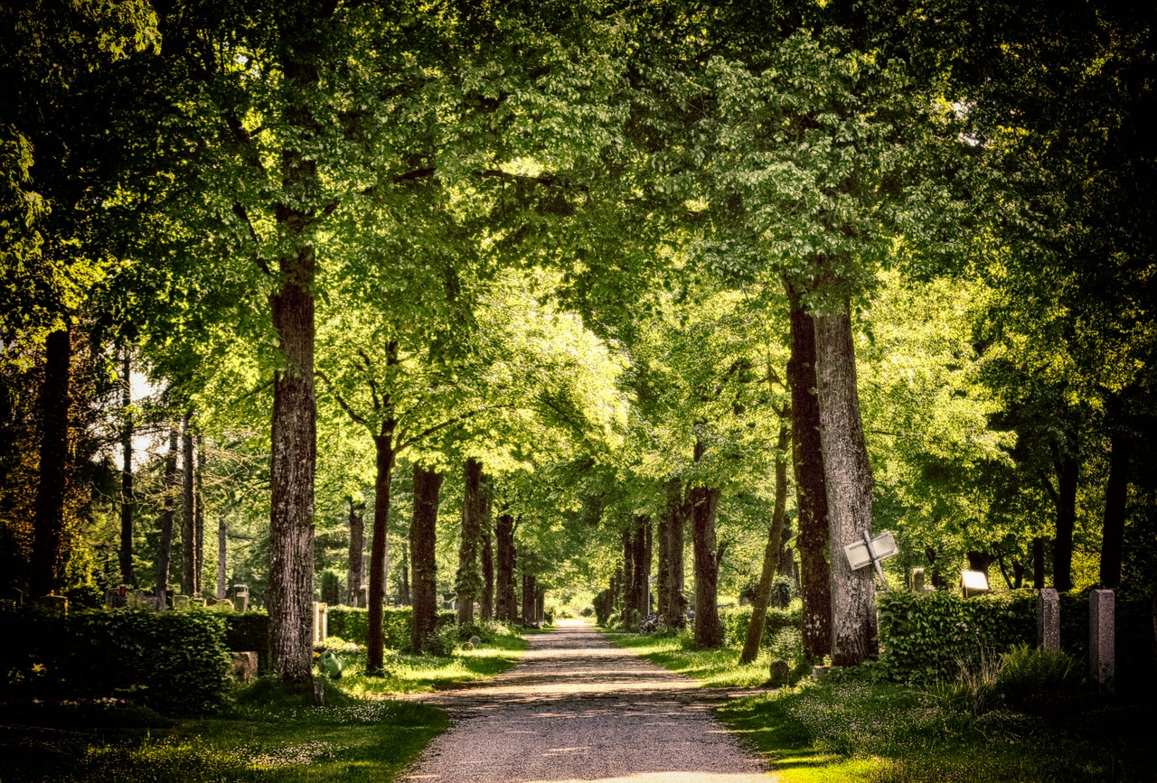 Kapsētu pārvaldei meklē jaunu direktoru