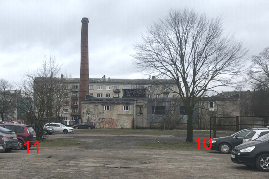 Aicinājums apspriest koku ciršanu Baznīcas un Skolas ielā