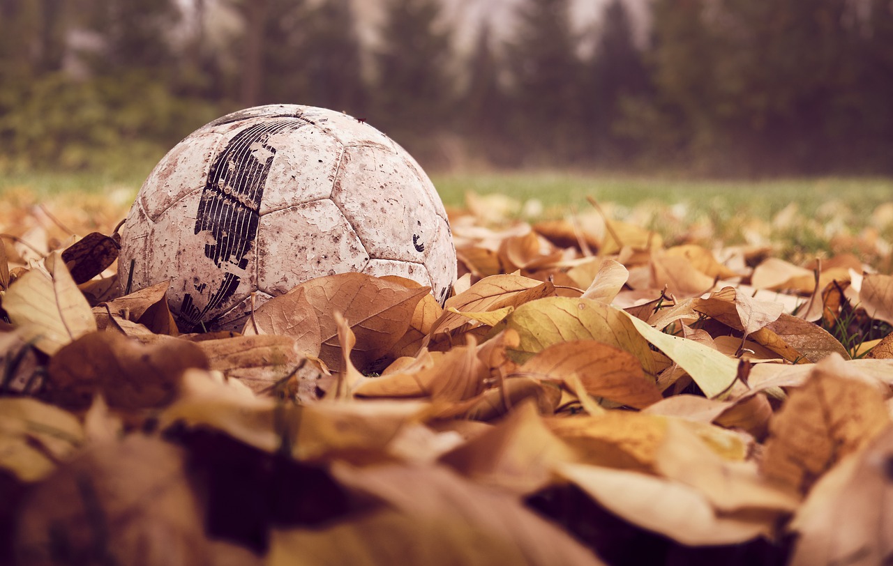 Sports atkal izsists no ierindas