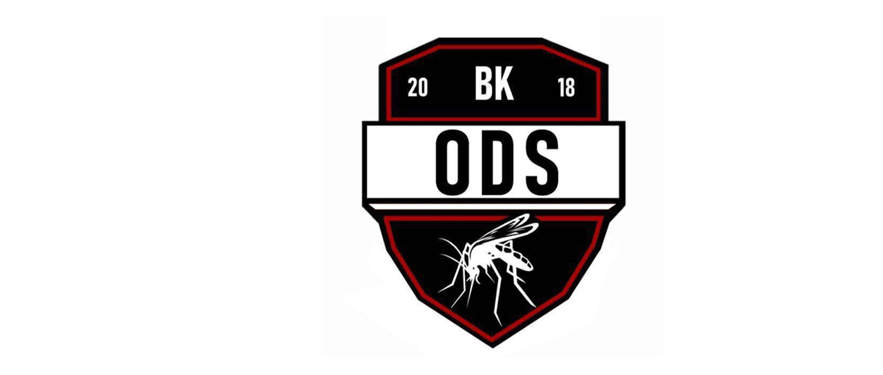 BK ODS