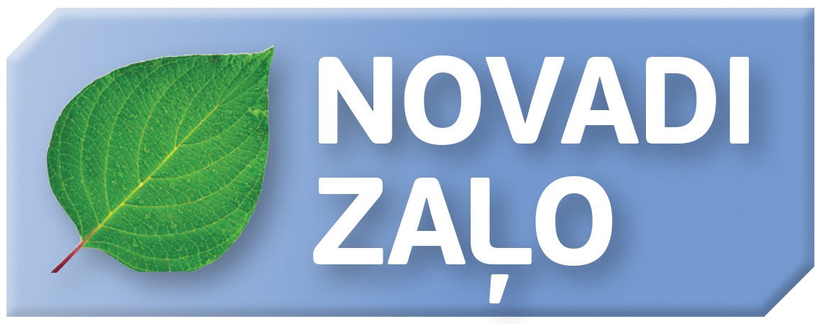 Šim attēlam ir tukšs alt atribūts; faila nosaukums ir cd0d-5f900f96c4b7e.jpg