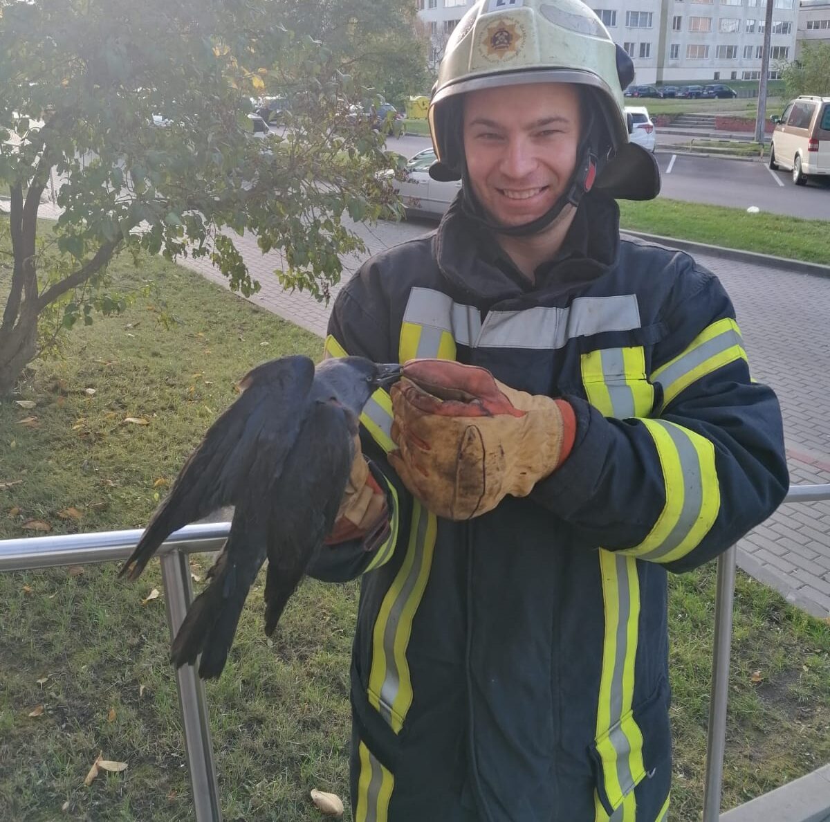 Glābēji Ugāles ielā atbrīvoja vārnu no mājas ventilācijas šahtas
