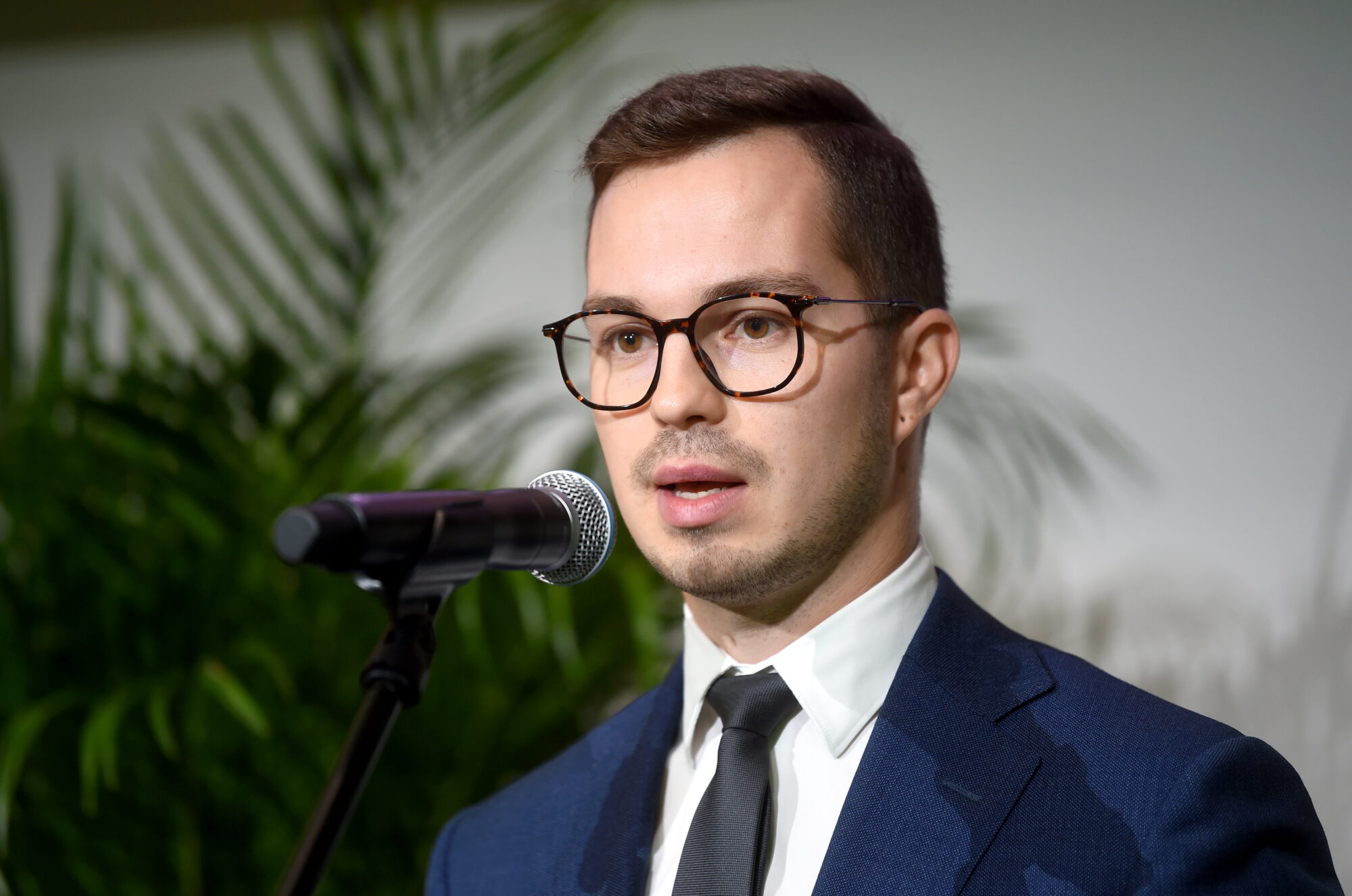Artūrs Toms Plešs: Nav nekāda pamata tam, lai VARAM ministra demisija apdraudētu pašvaldības reformas ieviešanu