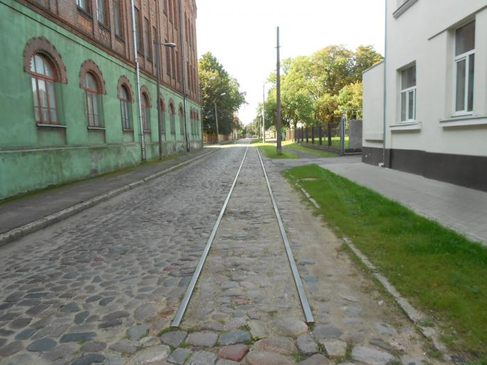 Baseina ielu rotās Japānas katsuras