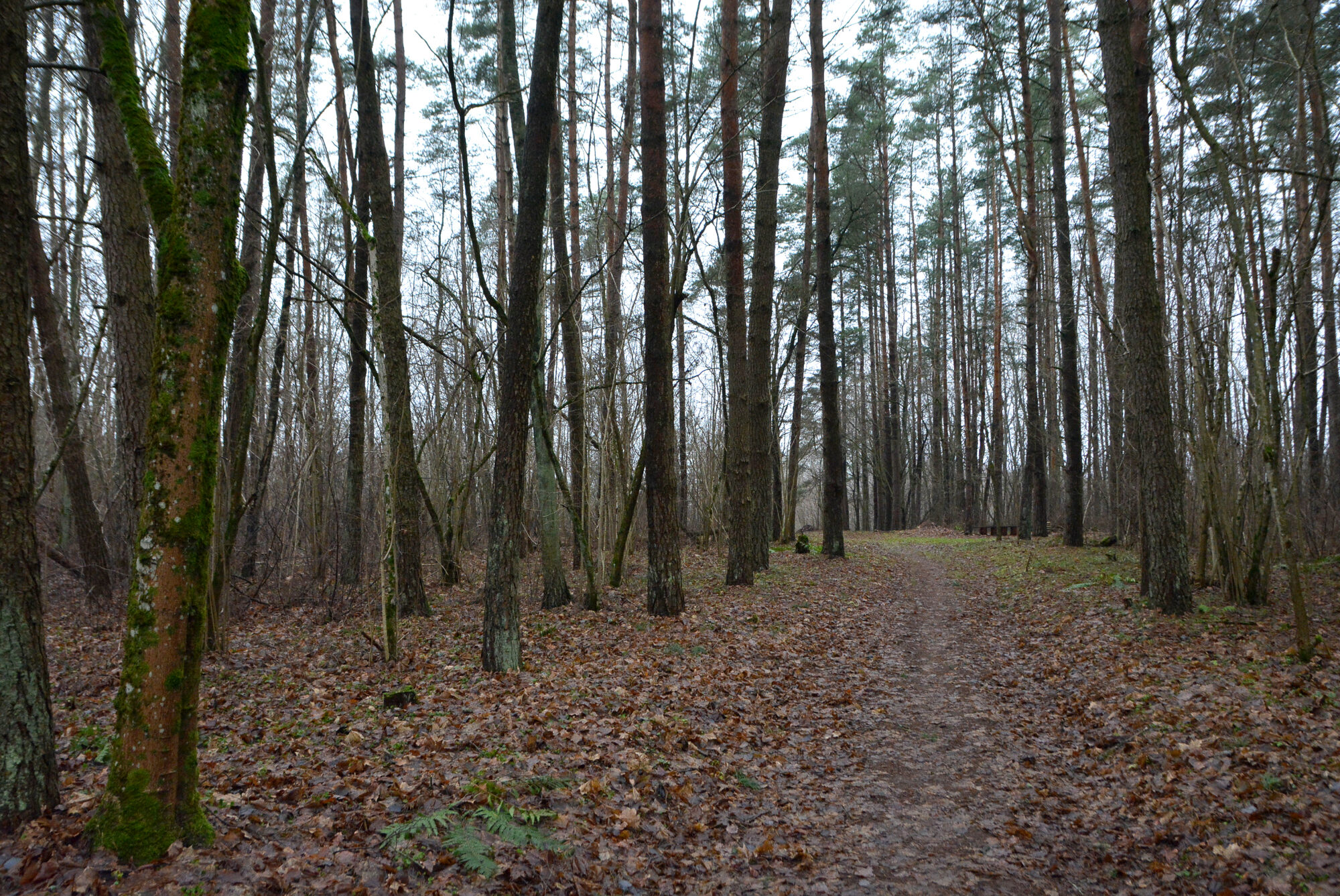 This image has an empty alt attribute; its file name is b465-5ffedf6f40c89-scaled.jpg