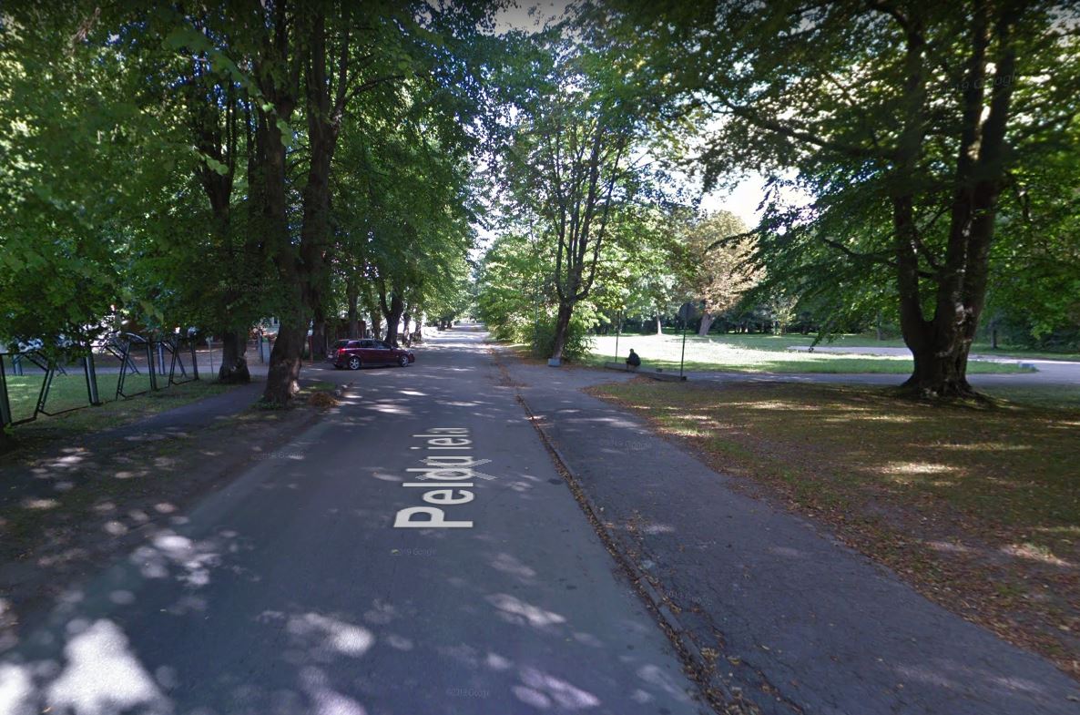 Aicina izteikt viedokli par ielas posma pārdēvēšanu Miķeļa Valtera vārdā