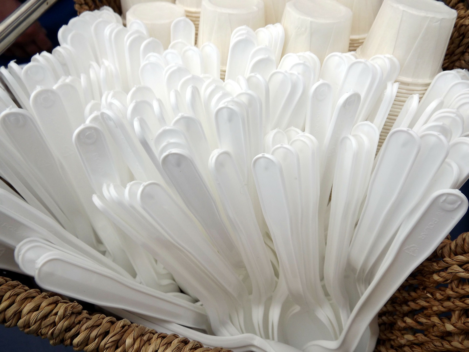 Vai ir dzīve bez plastmasas?