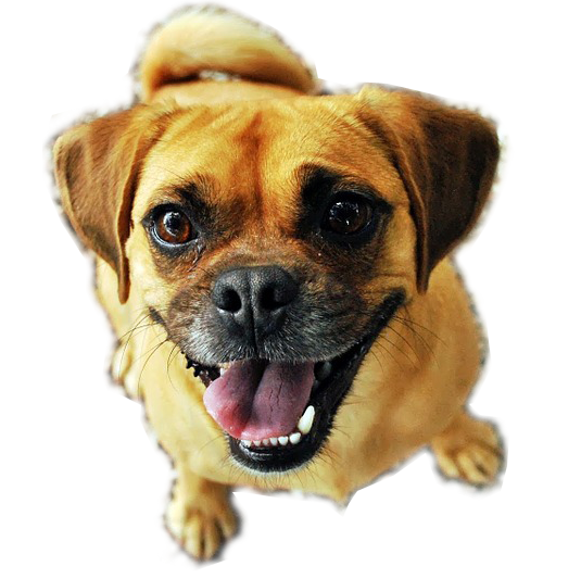 This image has an empty alt attribute; its file name is ce8f-60646c371ced5.png