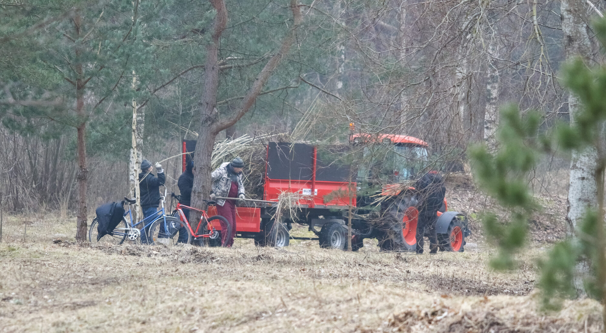 Bažījas – nebūs, kas sakopj Liepāju