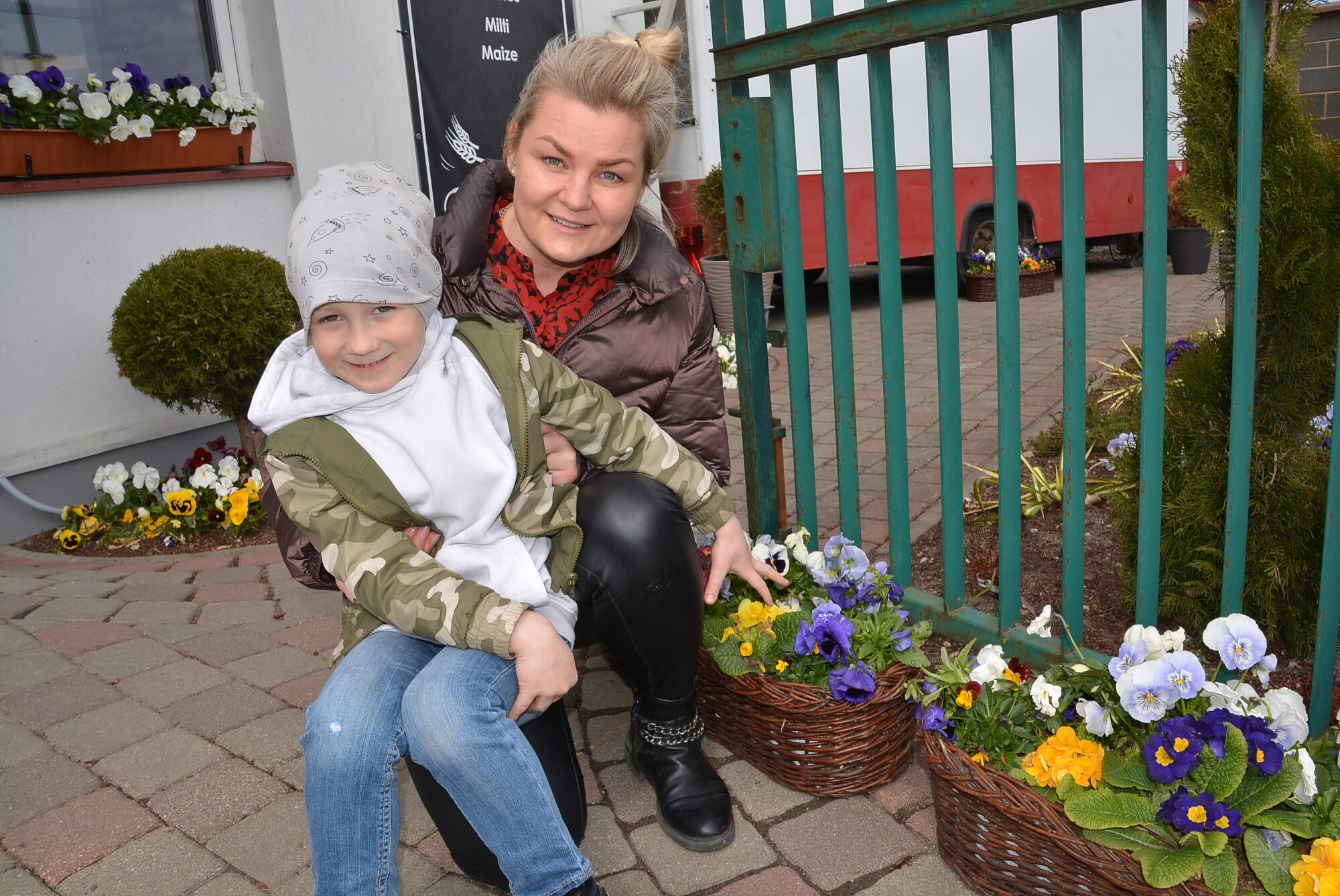 Tikpat stādiņu, cik visā pilsētā. Pie “Ganību mājas” acis ņirb no atraitnīšu ziedu prieka