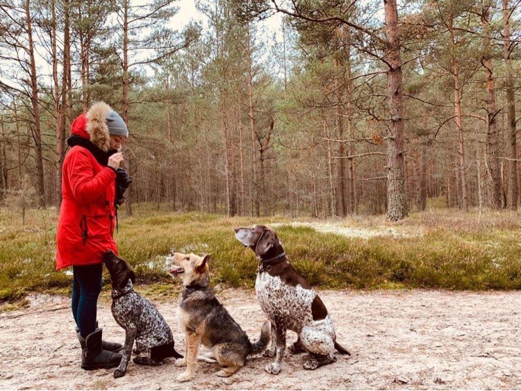 Suņu laukumu trūkst, bet jaunus neplāno