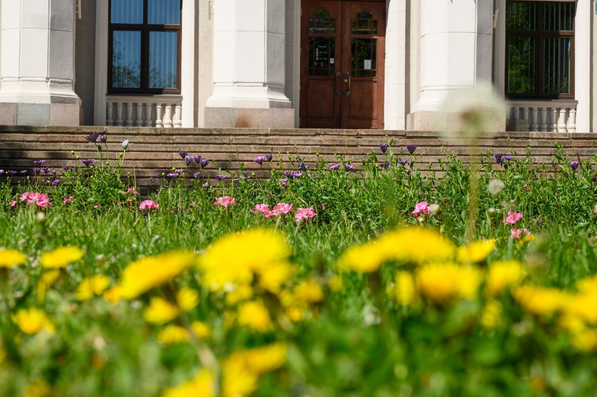 Liepājas Universitātes pētnieki aicina talkā atšifrēt folkloras materiālus