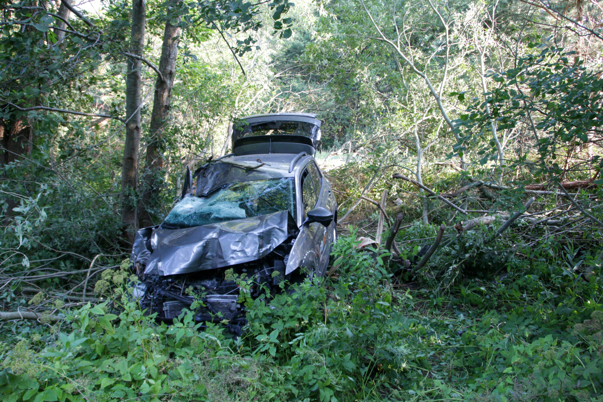 14. novembra bulvārī dzērumā ar nomas auto paretina kokus un krūmus
