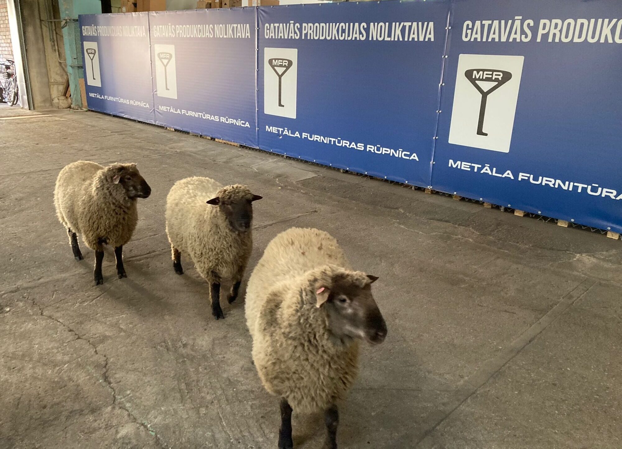 Aitas iepazīst cehus un noliktavas