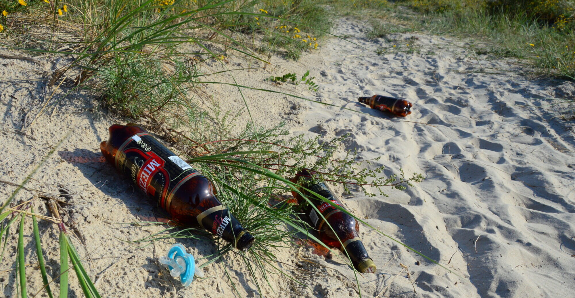 Cīņā ar sekām nāksies vicināt pātagu. Vai arī citvasar Liepājas pludmalē varēs plīvot Zilais karogs?