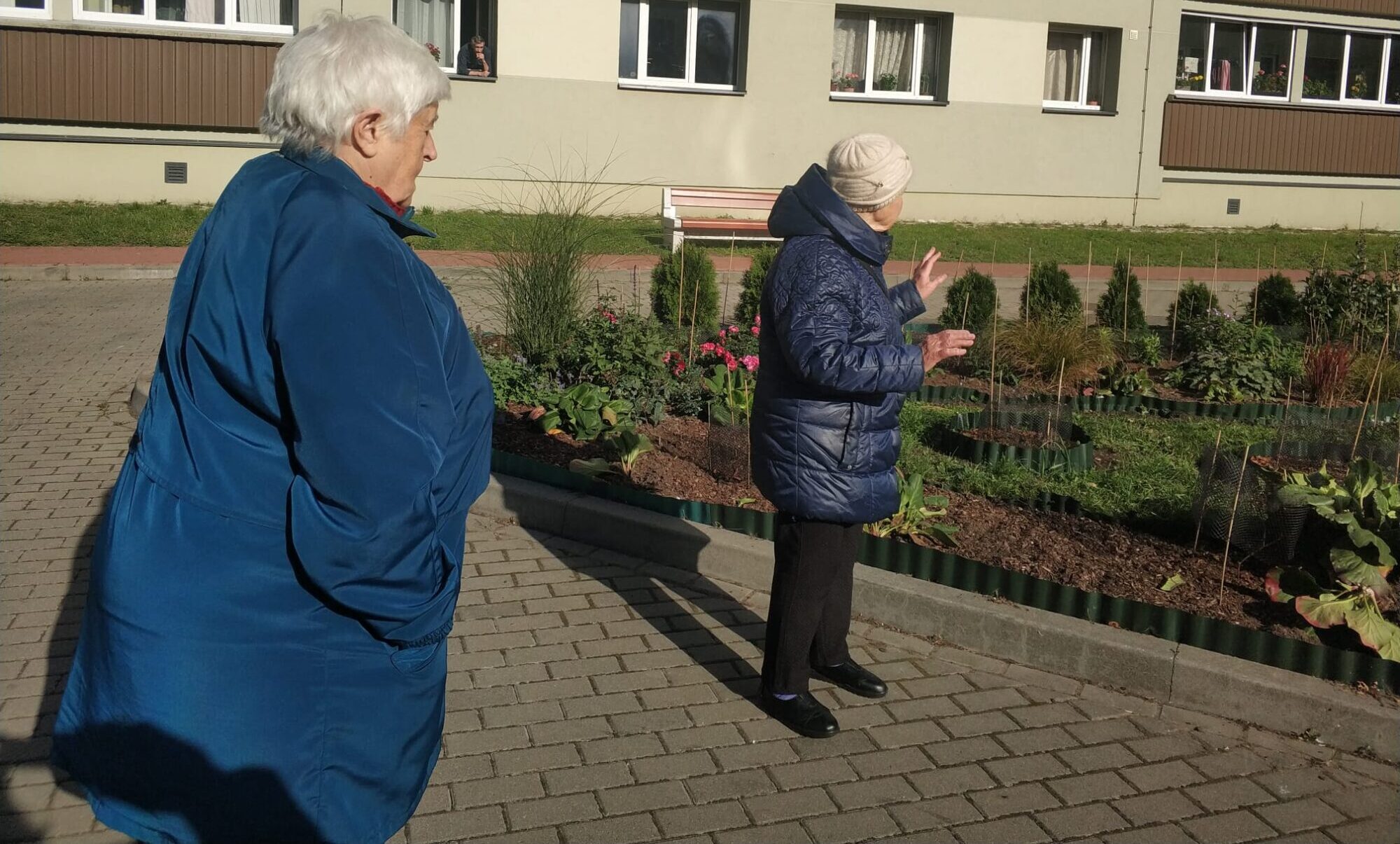Drāma Mežu ielā. Dēls izrāva egli, mājas vecākais krūmus