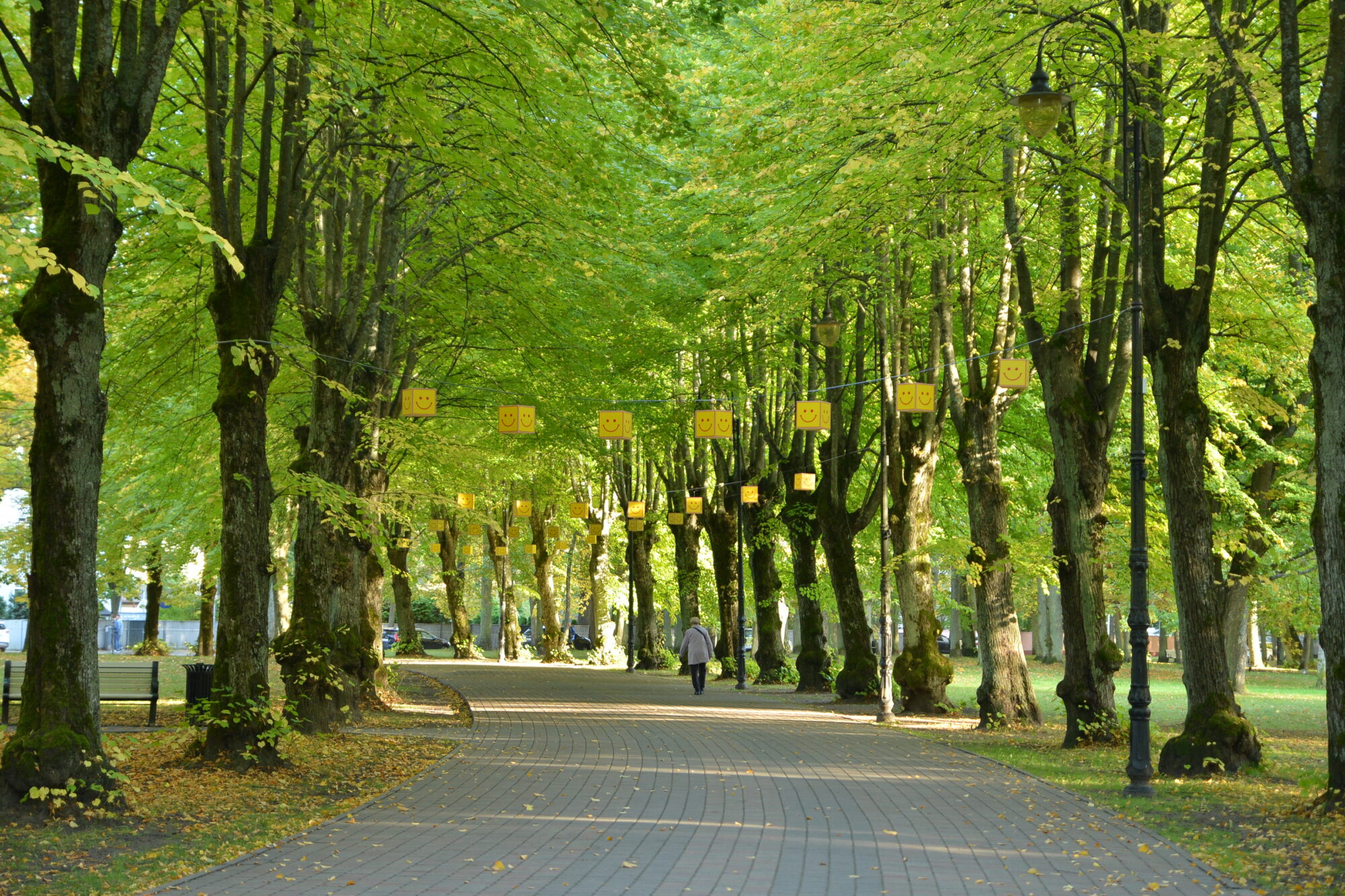 Foto: Rudens krāsas Jūrmalas parkā